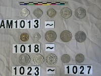 藏品(印度20披索硬幣)的圖片